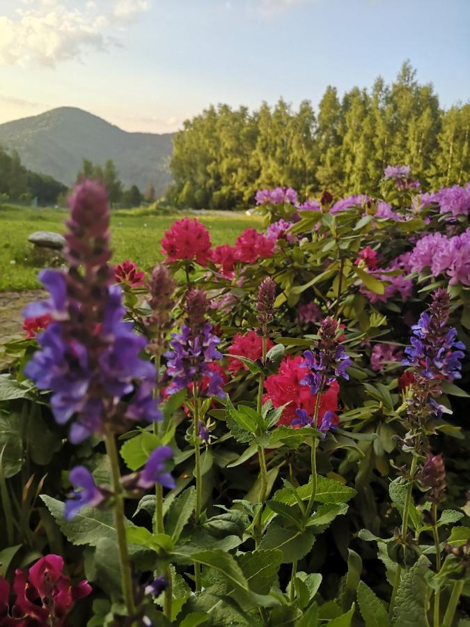 Oranska Bed & Breakfast Miedzygorze Exterior photo